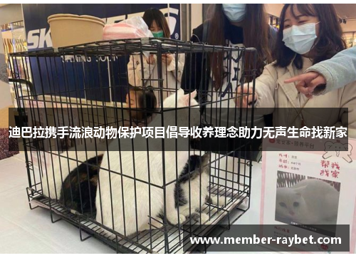 迪巴拉携手流浪动物保护项目倡导收养理念助力无声生命找新家 迪巴拉携手流浪动物保护项目倡导收养理念助力无声生命找新家
