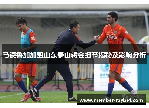 马德鲁加加盟山东泰山转会细节揭秘及影响分析 马德鲁加加盟山东泰山转会细节揭秘及影响分析
