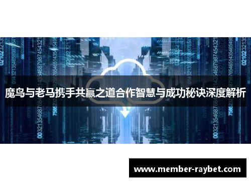 魔鸟与老马携手共赢之道合作智慧与成功秘诀深度解析