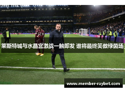 莱斯特城与水晶宫激战一触即发 谁将最终笑傲绿茵场