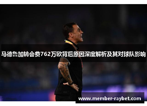 马德鲁加转会费762万欧背后原因深度解析及其对球队影响 马德鲁加转会费762万欧背后原因深度解析及其对球队影响